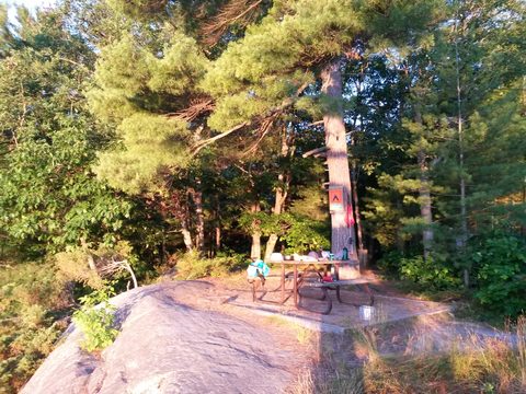 Photo from Canoeing, The Massasauga Provincial Park, Three Legged Lake to Clear Bay