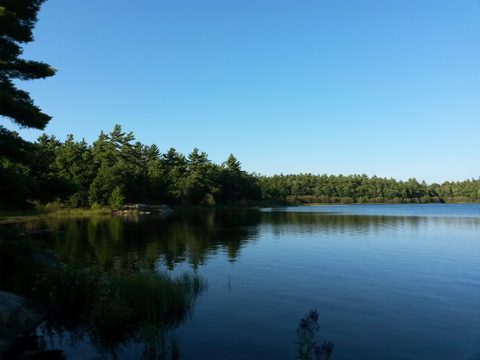 Photo from Canoeing, The Massasauga Provincial Park, Three Legged Lake to Clear Bay