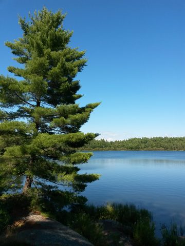 Photo from Canoeing, The Massasauga Provincial Park, Three Legged Lake to Clear Bay