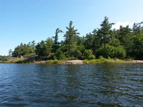 Photo from Canoeing, The Massasauga Provincial Park, Three Legged Lake to Clear Bay