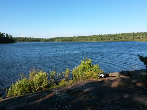 Photo from Canoeing, The Massasauga Provincial Park, Three Legged Lake to Clear Bay