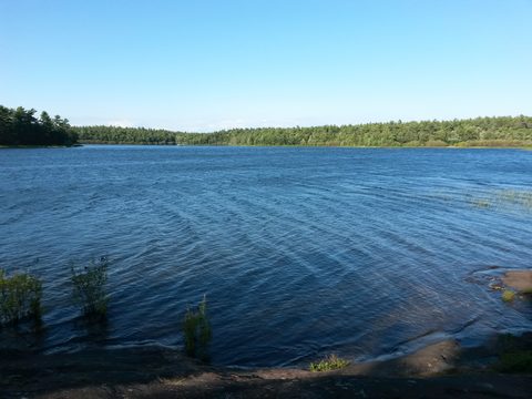 Photo from Canoeing, The Massasauga Provincial Park, Three Legged Lake to Clear Bay