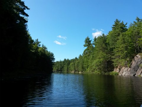 Photo from Canoeing, The Massasauga Provincial Park, Three Legged Lake to Clear Bay