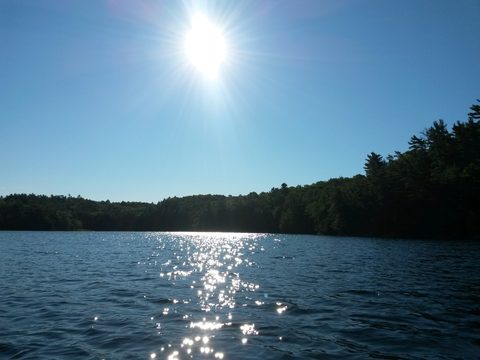 Photo from Canoeing, The Massasauga Provincial Park, Three Legged Lake to Clear Bay