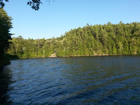 Photo from Canoeing, The Massasauga Provincial Park, Three Legged Lake to Clear Bay