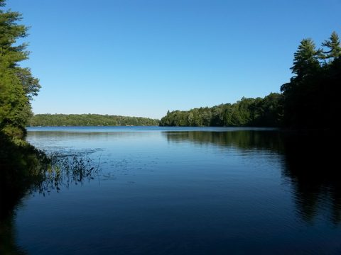 Photo from Canoeing, The Massasauga Provincial Park, Three Legged Lake to Clear Bay