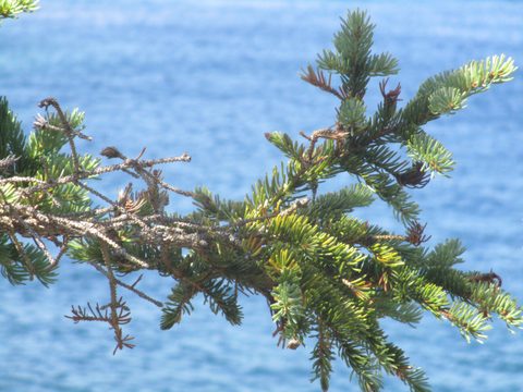 Photo from Backpack Lake Superior Coastal Trail