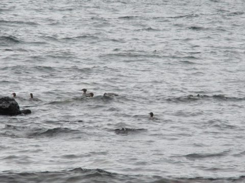 Photo from Backpack Lake Superior Coastal Trail