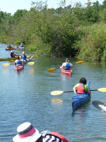 Photo from Beginner Kayaking - Killarney, The Crack & The Chik