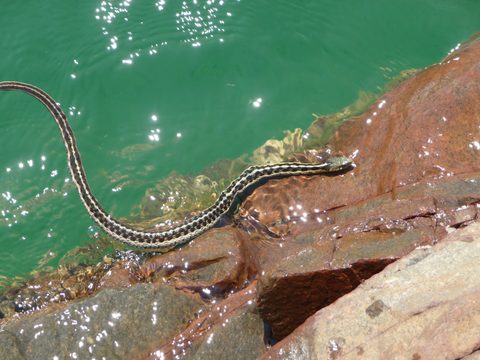 Photo from Beginner Kayaking - Killarney, The Crack & The Chik