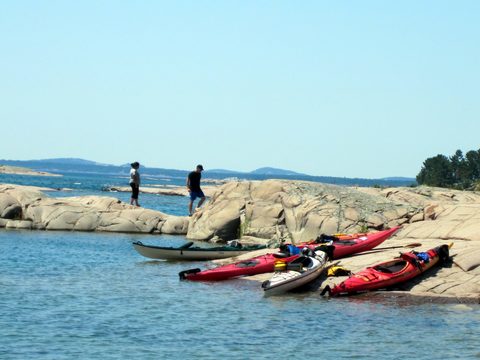 Photo from Beginner Kayaking - Killarney, The Crack & The Chik