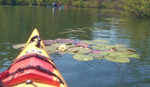 Photo from Beginner Kayaking - Killarney, The Crack & The Chik