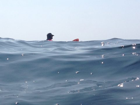 Photo from Kayaking, Franklin, Mink and McKoy Islands, Georgian Bay