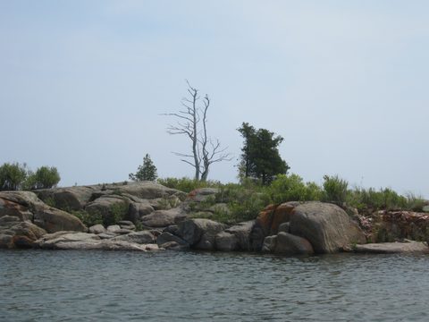 Photo from Kayaking, Franklin, Mink and McKoy Islands, Georgian Bay