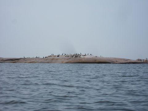 Photo from Kayaking, Franklin, Mink and McKoy Islands, Georgian Bay