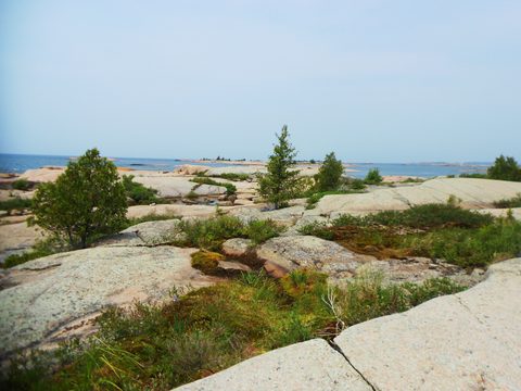 Photo from Kayaking, Franklin, Mink and McKoy Islands, Georgian Bay