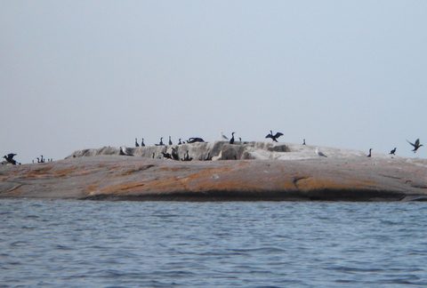 Photo from Kayaking, Franklin, Mink and McKoy Islands, Georgian Bay
