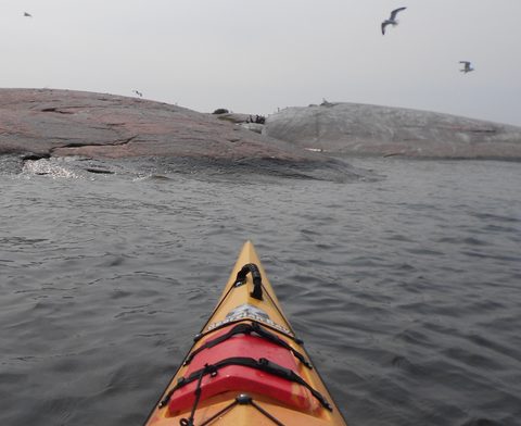 Photo from Kayaking, Franklin, Mink and McKoy Islands, Georgian Bay