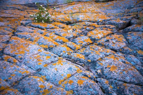 Photo from Kayaking, Franklin, Mink and McKoy Islands, Georgian Bay