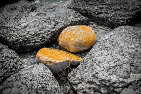 Photo from Kayaking, Franklin, Mink and McKoy Islands, Georgian Bay