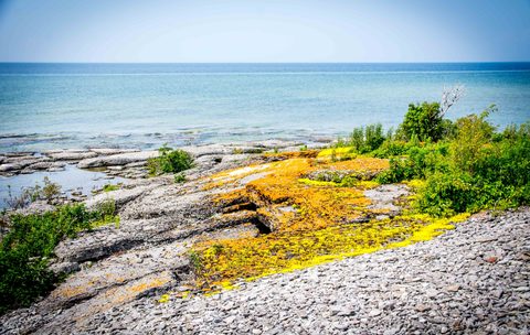 Photo from Kayaking, Franklin, Mink and McKoy Islands, Georgian Bay