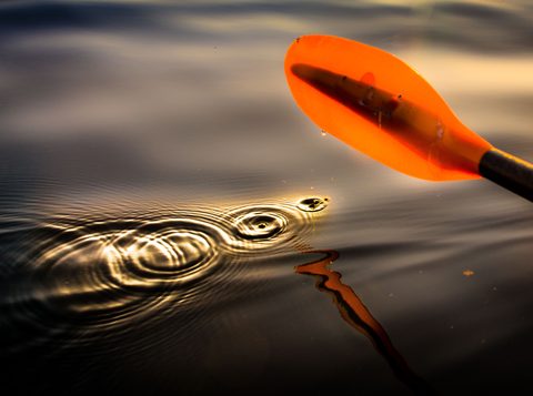 Photo from Kayaking, Franklin, Mink and McKoy Islands, Georgian Bay