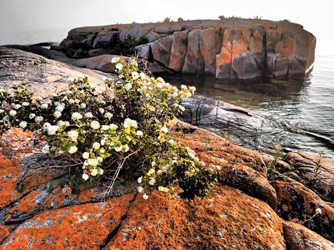 Photo from Kayaking, Franklin, Mink and McKoy Islands, Georgian Bay
