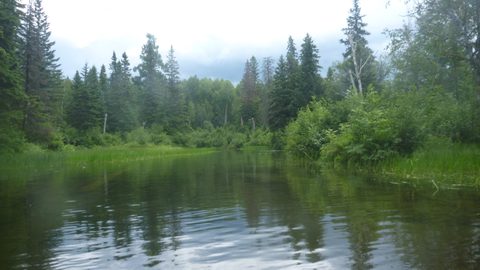 Photo from Canoeing, Temagami