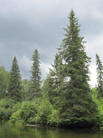 Photo from Canoeing, Temagami