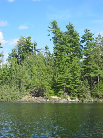 Photo from Canoeing, Temagami