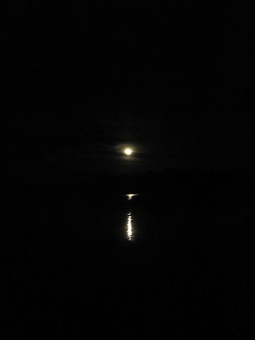Photo from Canoeing, Temagami