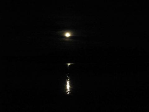 Photo from Canoeing, Temagami