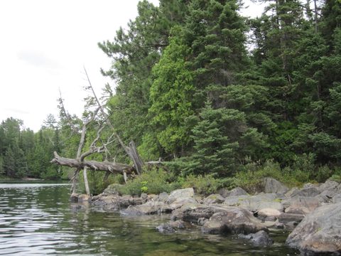 Photo from Canoeing, Temagami