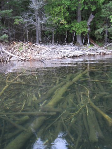 Photo from Canoeing, Temagami
