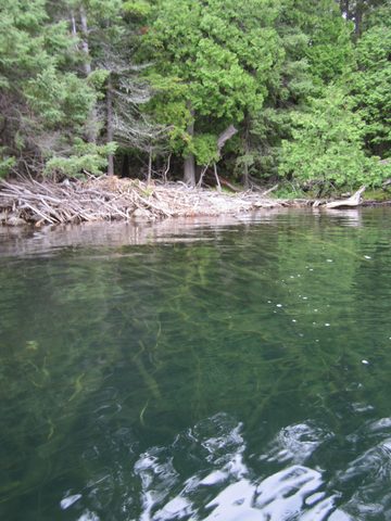 Photo from Canoeing, Temagami