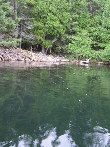 Photo from Canoeing, Temagami
