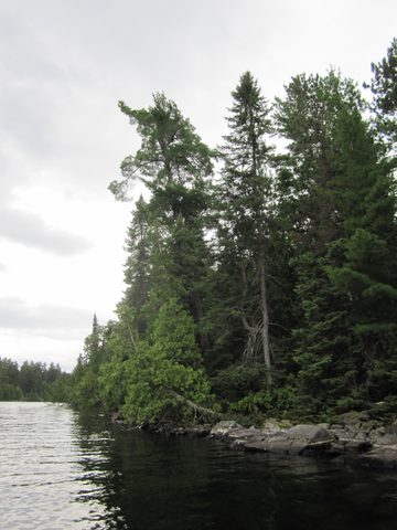 Photo from Canoeing, Temagami