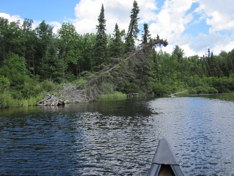 Photo from Canoeing, Temagami