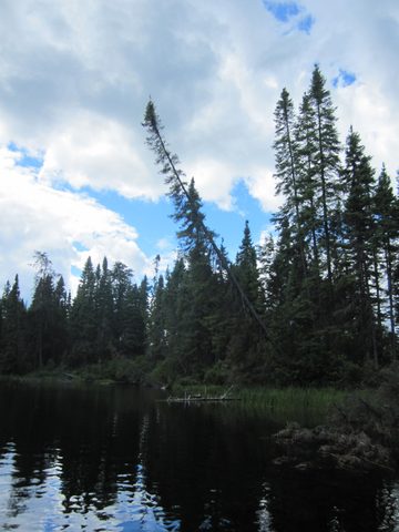 Photo from Canoeing, Temagami