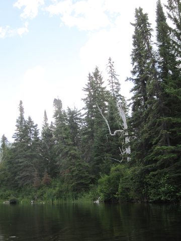 Photo from Canoeing, Temagami