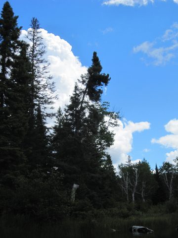 Photo from Canoeing, Temagami