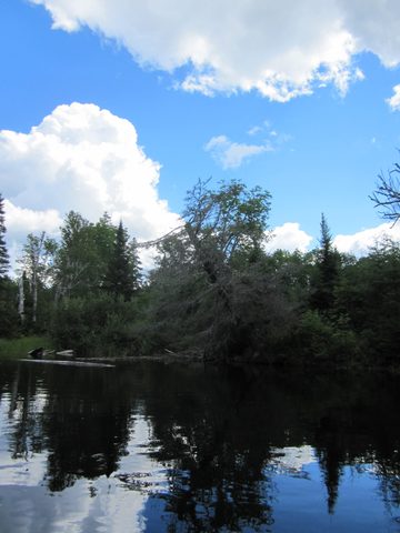 Photo from Canoeing, Temagami