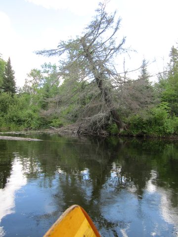 Photo from Canoeing, Temagami
