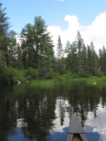 Photo from Canoeing, Temagami