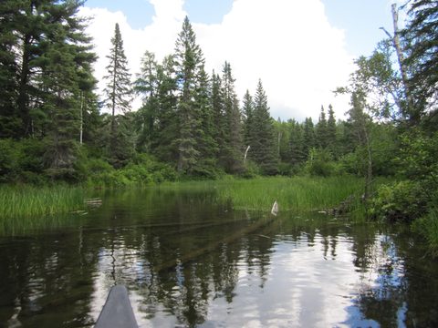 Photo from Canoeing, Temagami