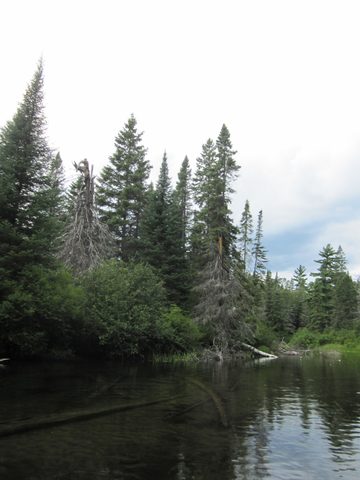 Photo from Canoeing, Temagami
