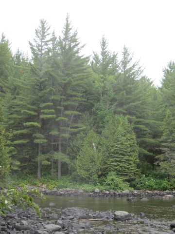Photo from Canoeing, Temagami