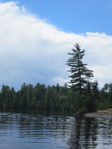 Photo from Canoeing, Temagami