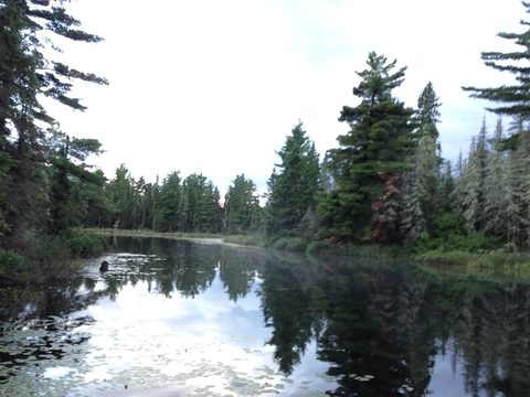 Photo from Canoeing, Temagami