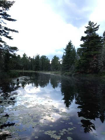 Photo from Canoeing, Temagami